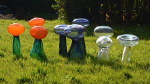 Helen Twigge-Molecey - Fungi (Overview 2)(Tops)(Glass)